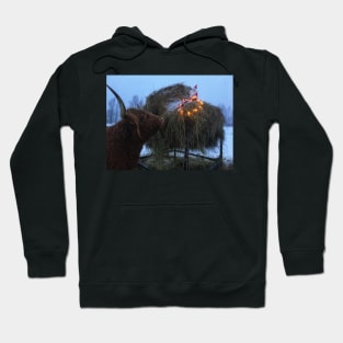 Scottish Highland Cattle Cow 2209 Hoodie